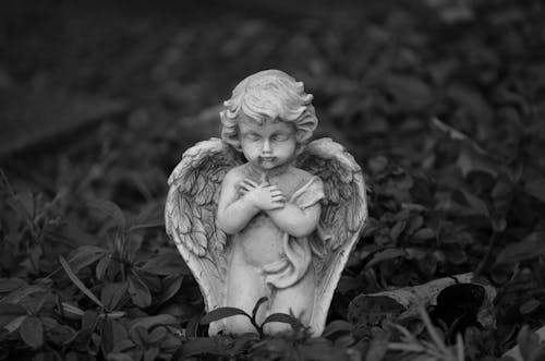 Free Grayscale Photo of Angel Statue Surrounded with Plants Stock Photo