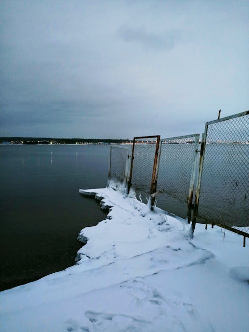 Lake and Metal Fence on the Shore in Winter 