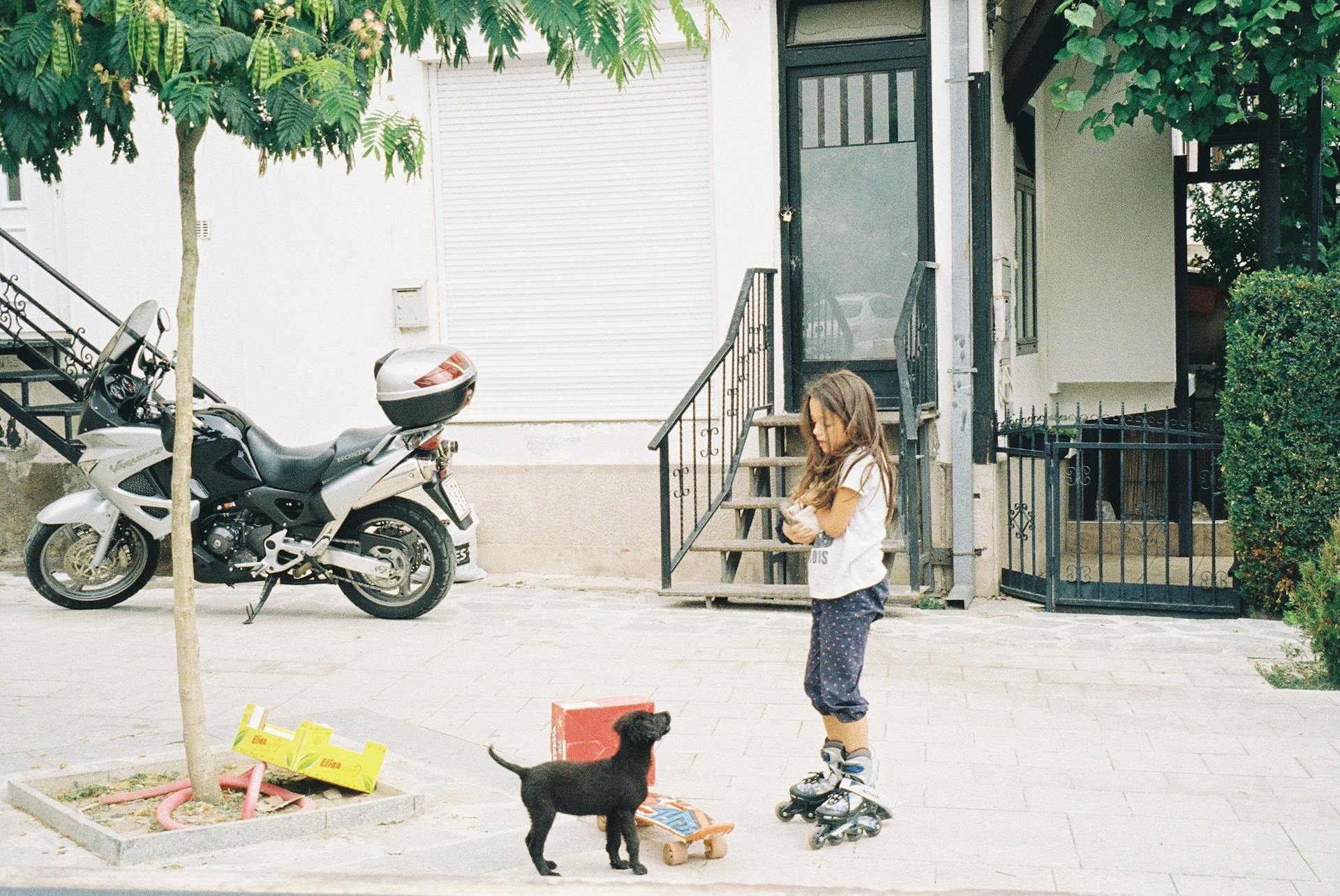 Une petite fille sur des patins à roulettes jouant avec un chiot