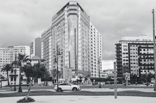 Grayscale Photo of City Buildings