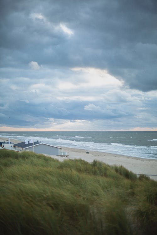 無料 オランダ, ビーチ, 垂直ショットの無料の写真素材 写真素材