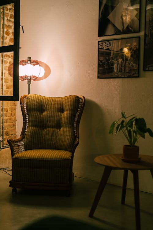 Brown Armchair Beside the Floor lamp