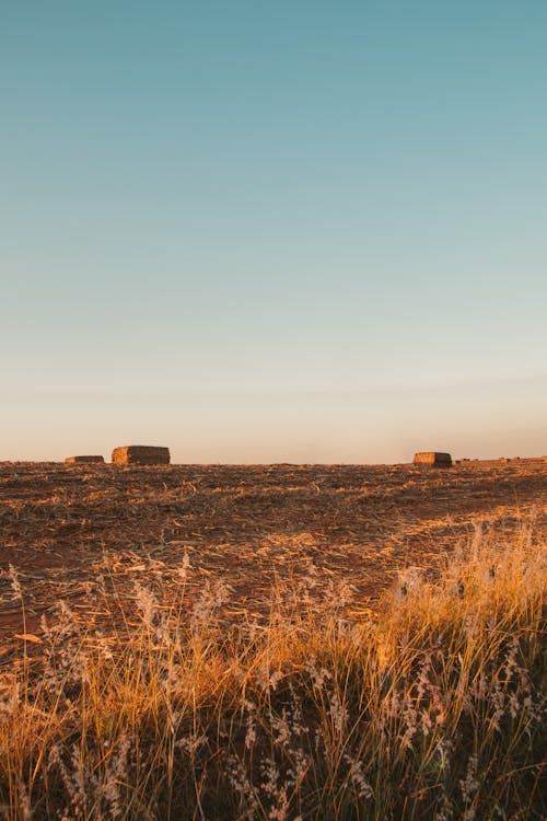 Fotos de stock gratuitas de agricultura, área rural, campo de heno