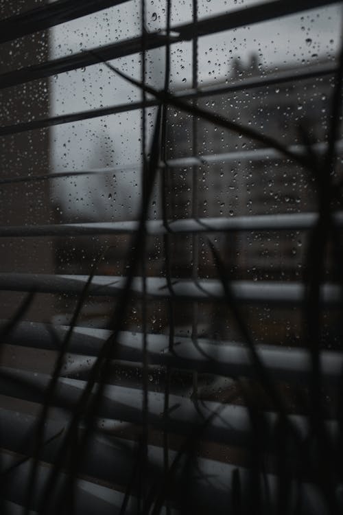 Ilmainen kuvapankkikuva tunnisteilla Lasi-ikkuna, pystysuuntainen laukaus, sadepisarat