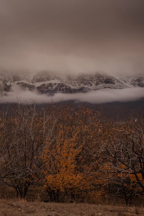 Winter Mountain Landscape 