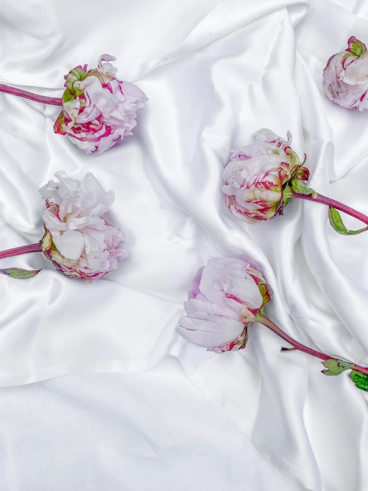 Pink And White Flowers On White Silky Blanket