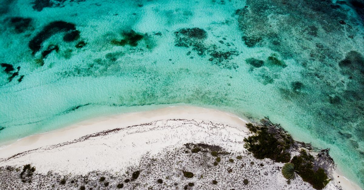Cómo los hoteles en Antigua y Barbuda impulsan la protección de arrecifes y el empleo estable Cómo los hoteles en Antigua y Barbuda impulsan la protección de arrecifes y el empleo estable