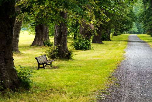 Free Scenic path in Bruntál park with a bench and lush trees. Stock Photo