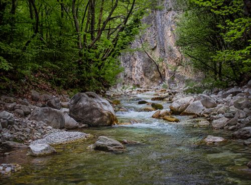 Free A tranquil stream flowing through a lush forest with rocks in Greece. Perfect for nature lovers. Stock Photo