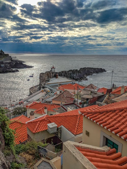 Fotobanka s bezplatnými fotkami na tému madeira, súkromný prístav