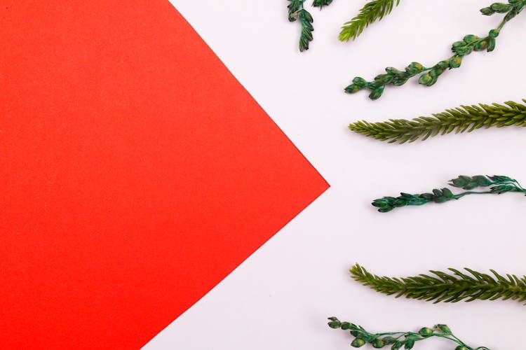 Tree Branches Lying Next To Red Paper Sheet