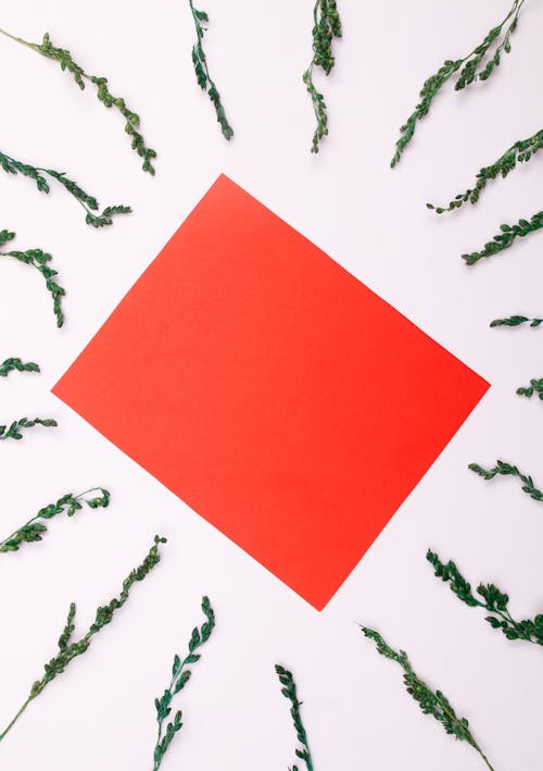 Red Paper on White Background
