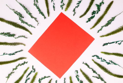 Free Flat lay of red paper surrounded by lush green fern foliage on a white background. Perfect for creative design and nature themes. Stock Photo
