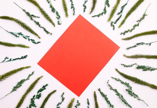 Red Paper Surrounded with Pine Leaves on White Background