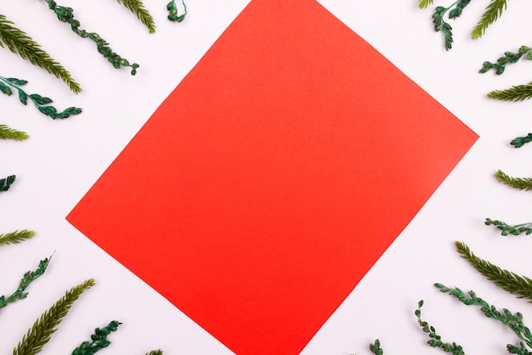 Red Paper Rectangle With Branches Around 