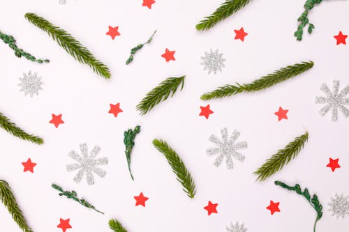 Green Pine Leaves on White Background