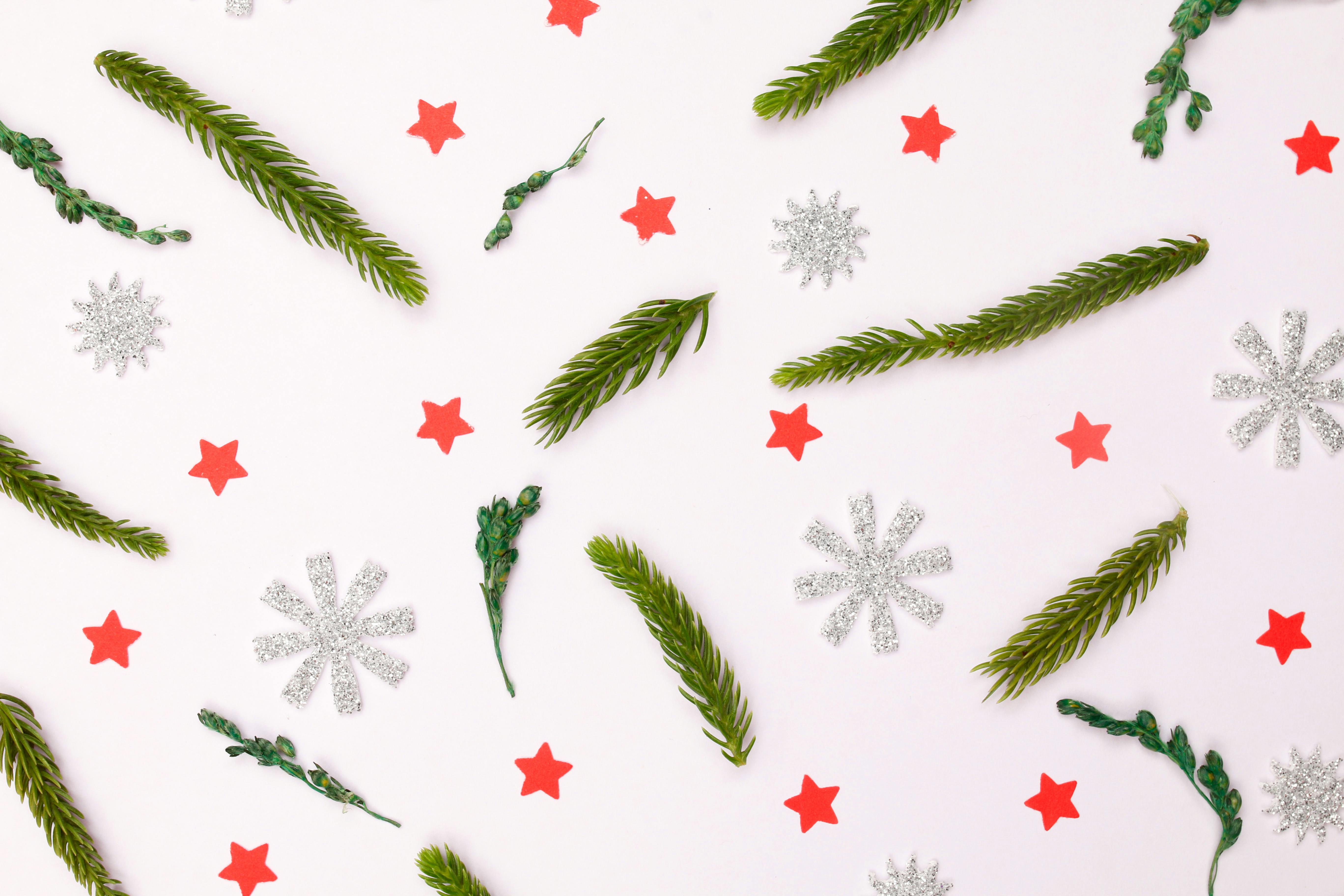 Christmas Backdrop Photos, Download The BEST Free Christmas Backdrop