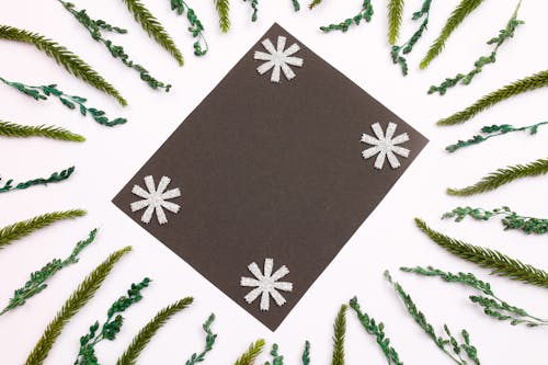 Paper with Glittery Paper Cutouts Surrounded with Leaves