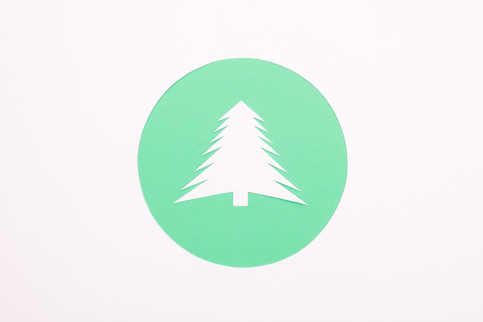 Cut & Fold - The Art and Craft of Kirigami