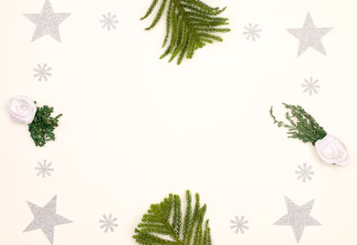 Green Pine Leaves on White Background
