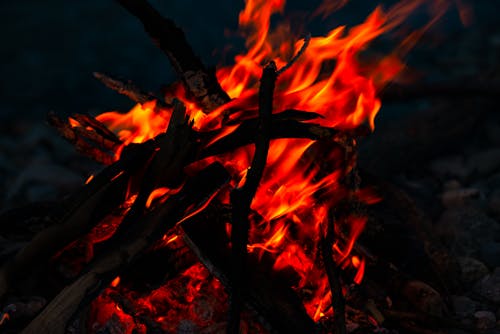 Бесплатное стоковое фото с горение, дерево, костер
