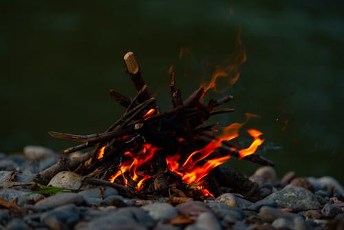 Free Close-up Shot of Burning Firewood Stock Photo