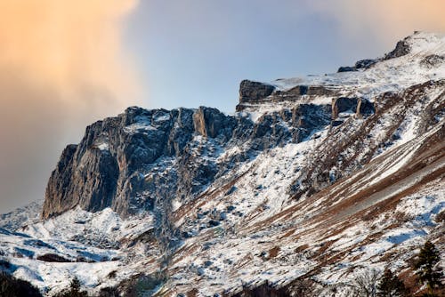 Foto d'estoc gratuïta de a l'aire lliure, alba, alt