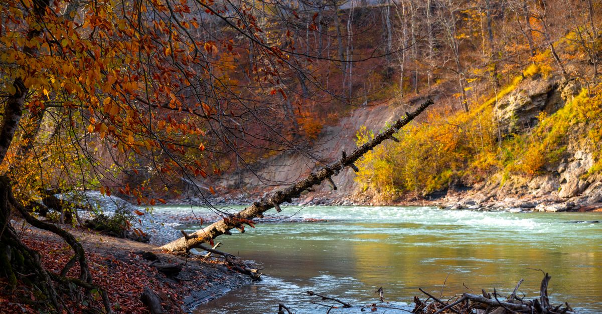 Les meilleures astuces pour un voyage inoubliable en automne