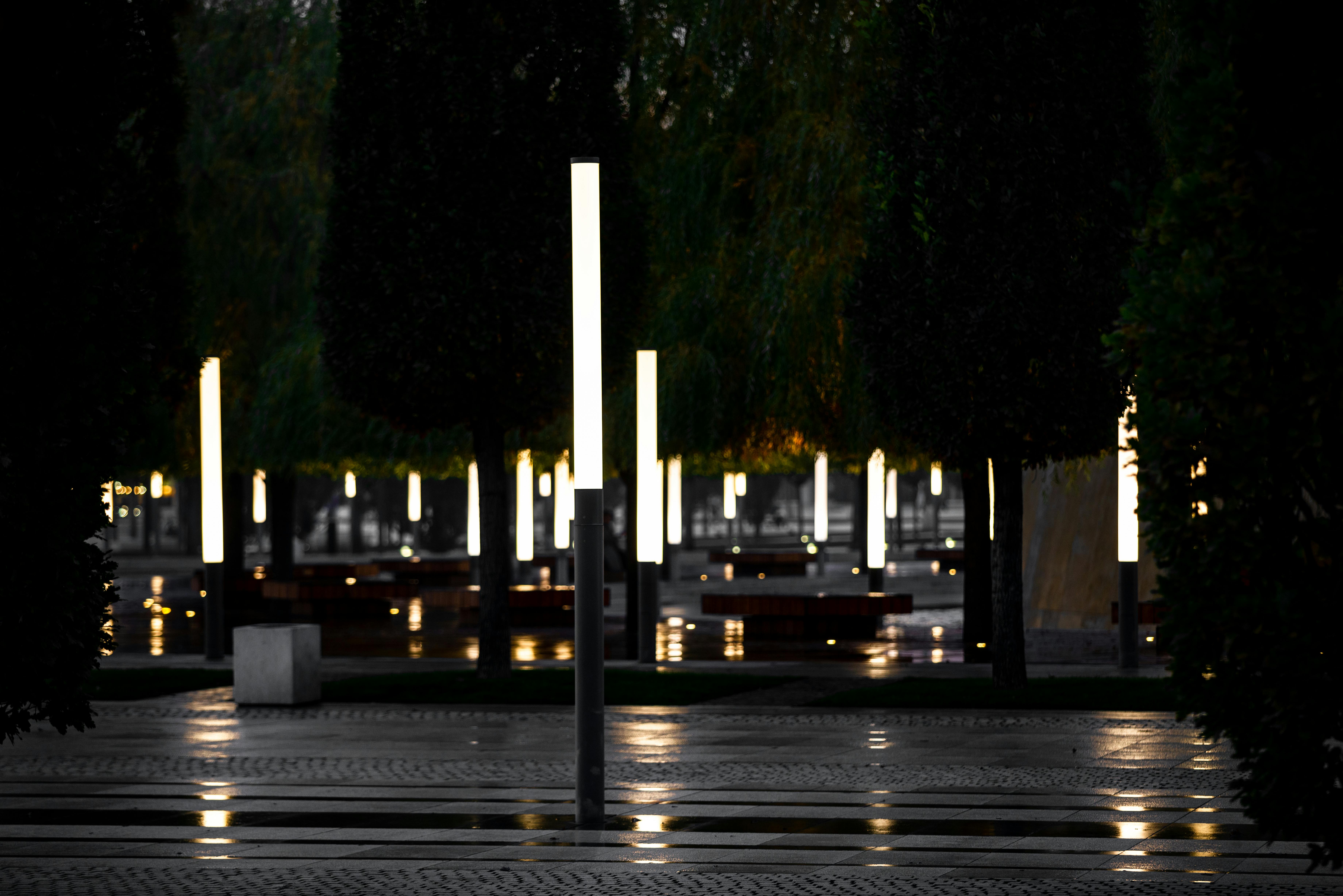 Green Trees and Modern Light Poles in the Park