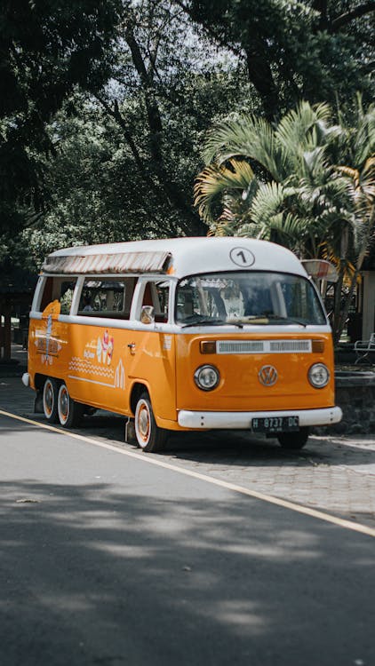 Fotos de stock gratuitas de al aire libre, autobús, autobús amarillo