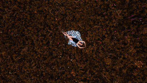 Free Aerial shot of a woman lying on a blanket in a field surrounded by lush vegetation. Stock Photo