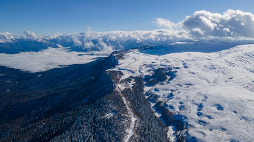 Fotos de stock gratuitas de bosque, congelando, cubierto de nieve