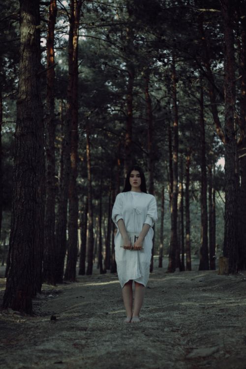 Free A woman stands barefoot in a tranquil forest holding a book, surrounded by tall trees. Stock Photo