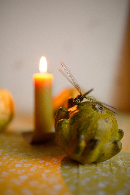 A Dragonfly on a Fruit