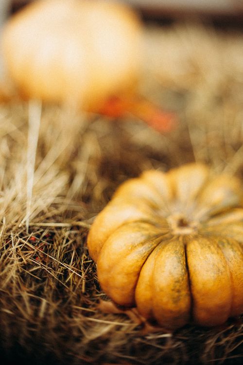 Free Warm autumn image highlighting a pumpkin on straw with a blurred background, embodying fall textures. Stock Photo