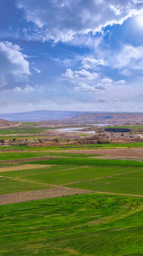 Imagine de stoc gratuită din agricultură, câmpuri, cer înnorat