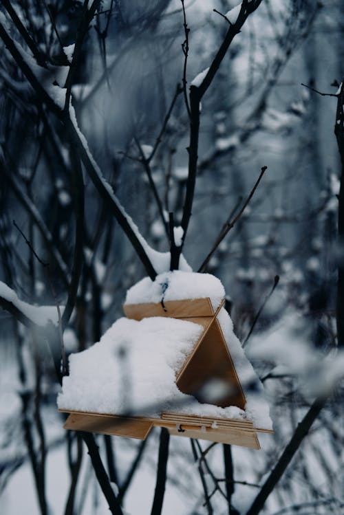 Snow Covered Birdhouse