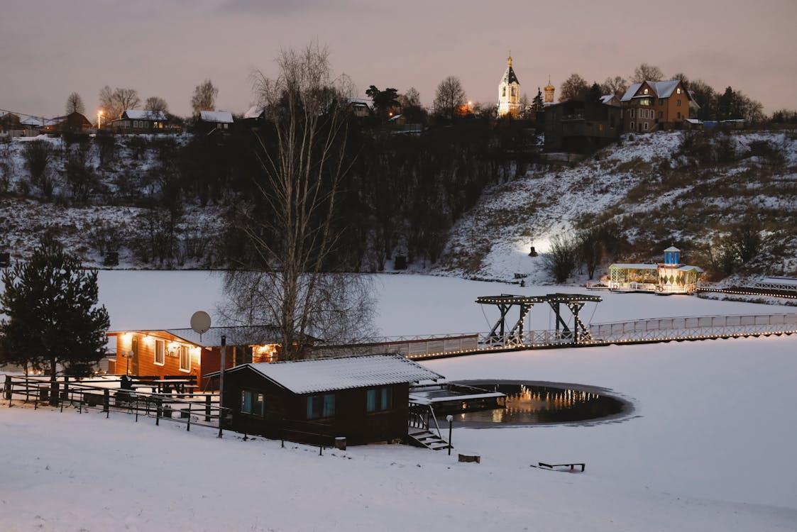 Бесплатное стоковое фото с Аэрофотосъемка, деревья, дома