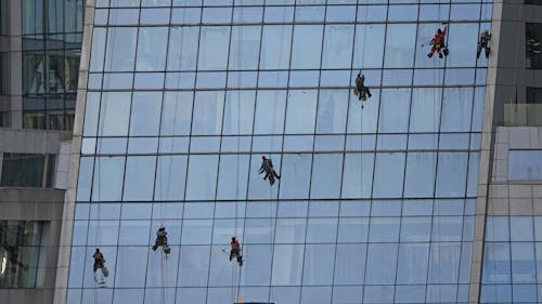 Professional Window Cleaners Cleaning a Glass Building