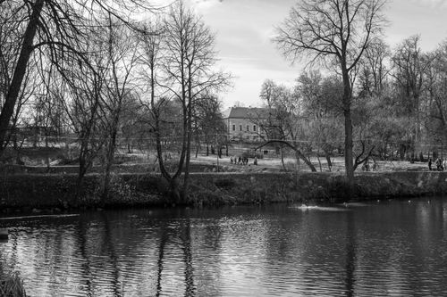 Free A tranquil black and white photo of a river with trees and a distant building, capturing nature's calmness. Stock Photo