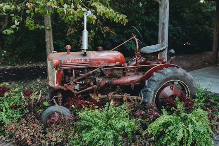 A Red Tractor In The Garden