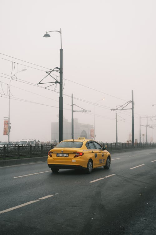 A Back View of Taxi Driving During Fog 