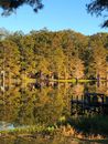 Brown Wooden Dock on Lake Surrounded by Trees