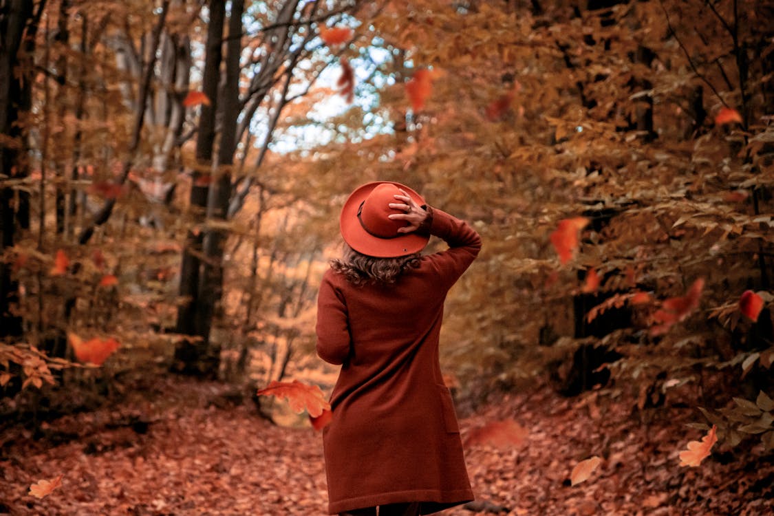 Back View of a Person Wearing a Coat and a Hat in a Forest