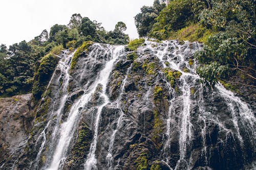 Cascading Water on Mossy Rocks