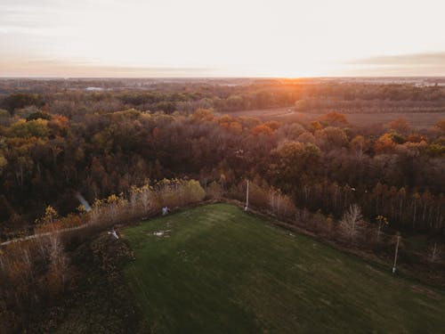 Aerial Photography of Autumn Trees and Green Grass Field during Sunset