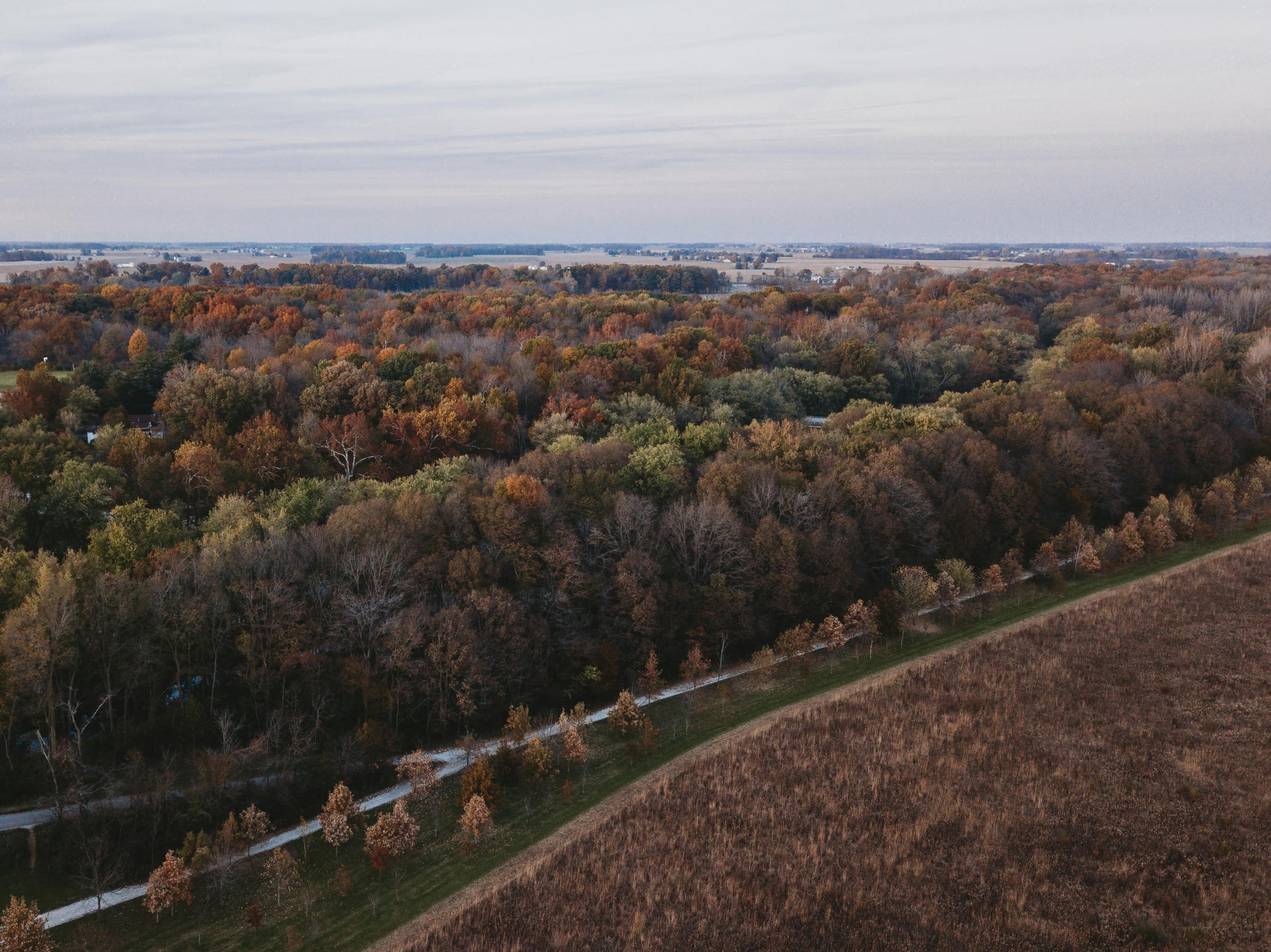 20+ Best Lewis Hamilton Photos · 100% Free Download · Pexels Stock Photos
