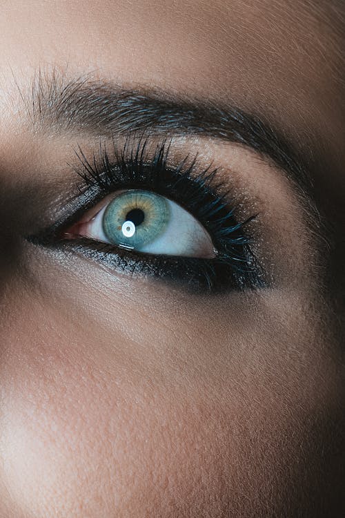 강조 표시된, 녹색 눈, 눈알의 무료 스톡 사진
