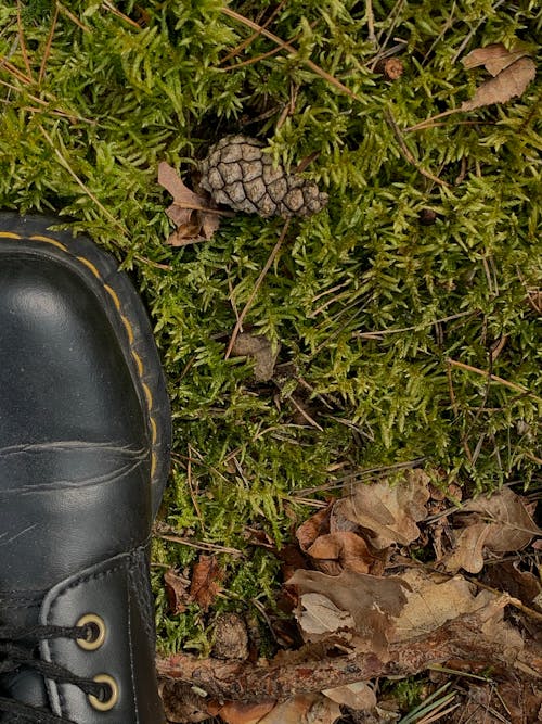 Fotobanka s bezplatnými fotkami na tému čierna kožená topánka, obuv, zelená tráva