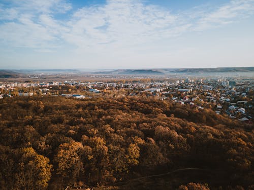 Free Aerial View of City Surrounded with Trees Stock Photo